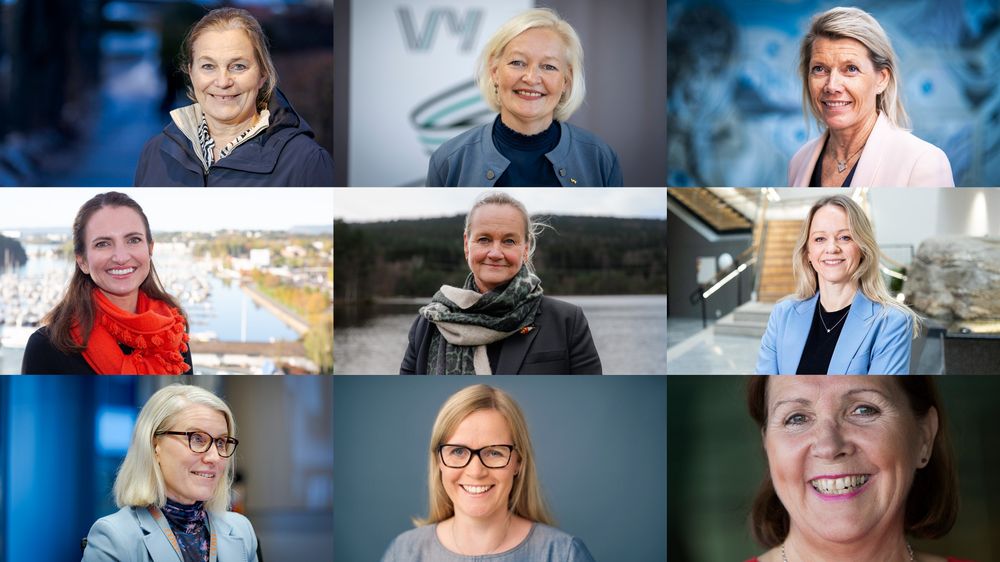 Erfarne toppledere: Fra venstre: Alexandra Bech Gjørv i Sintef, Gro Bakstad i Vy, Kjerstin Braathen i DNB, andre rekke: Merete Hverven i Visma, Elisabeth Vike Vardheim i Statnett, Camilla Amundsen i Rambøll, tredje rekke: Birgit Farstad Larsen i Cowi, Birgitte Ringstad Vartdal i Statkraft og Grete Bergly i Multiconsult