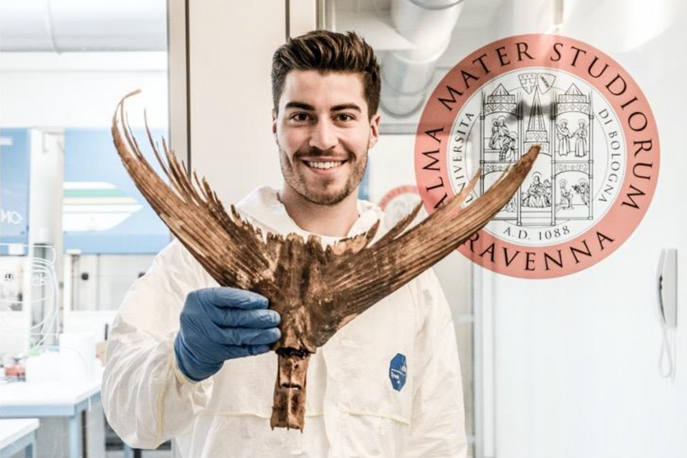 Adam Andrews, som er forsker ved NIVA, med gammelt bein fra makrellstørje.