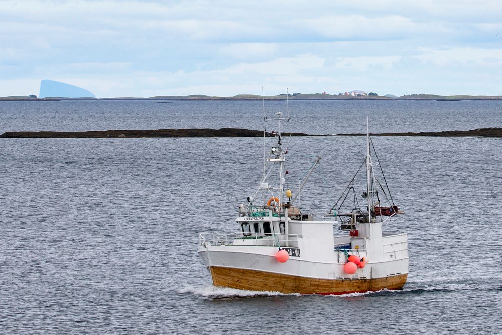 Fiskeridirektoratet har siden tidlig på 1980-tallet drevet opprenskning av fiskeredskaper som norske fiskere har mistet på havbunnen