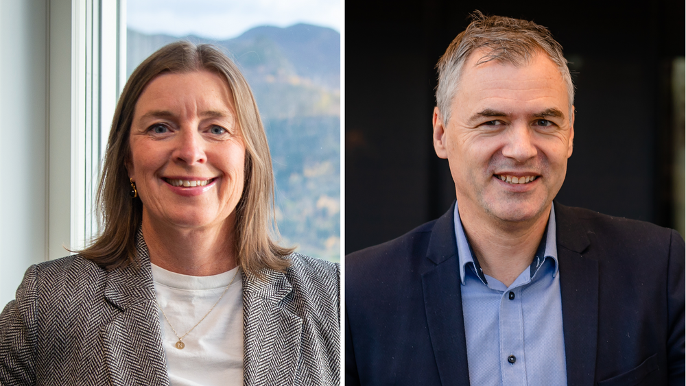 Innføringen av virksomhetslommebøker vil ikke kun bli et IT-prosjekt, men et mulig historisk effektiviseringsløft, mener Nina Olsen Munthe i Digdir og David Norheim i Brønnøysundregistrene.