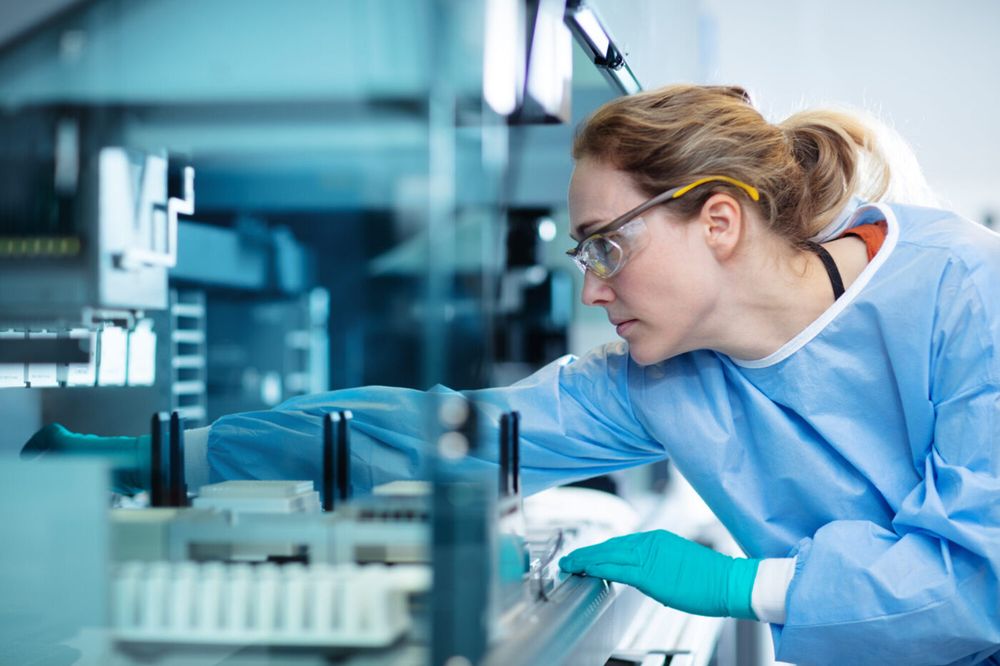 Immunterapi kan kurere kreften én gang for alle. Hanne Haslene-Hox og kolleger på Sintef og Radiumhospitalet jakter på de aller beste krigercellene – de som kan finne og drepe kreften.