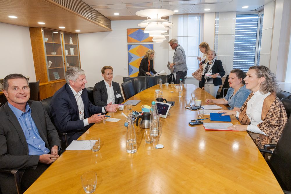 Flere representanter fra departementet deltok også i møtet, der Digi slapp inn i avrundingen. Fra venstre: Petter M. Tømmeraas, Stian Jenssen, Kristian Røkke og Karianne Tung.