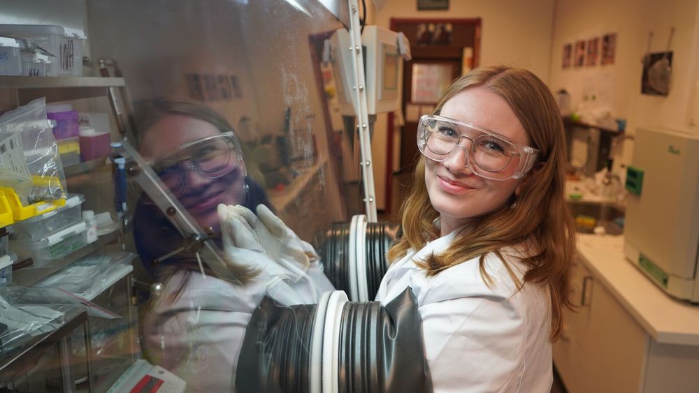 Amalie Skurtveit fulgte nysgjerrigheten. Det var noe som ikke stemte med prøvene hennes. Da hun fant ut av det, fant hun også et materiale som kan lades 30 ganger raskere enn dagens natriumbatterier.