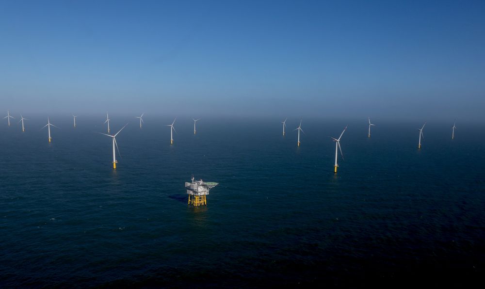 Vindturbiner i Helgoland i Tyskland. Havvindparkene utvikles i et rasende tempo, men forskning på negative konsekvenser er mangelfull. 