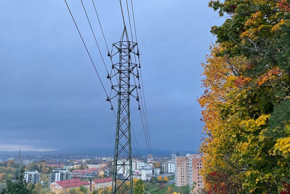 Svenskene frykter de må betale for lave norske strømpriser.