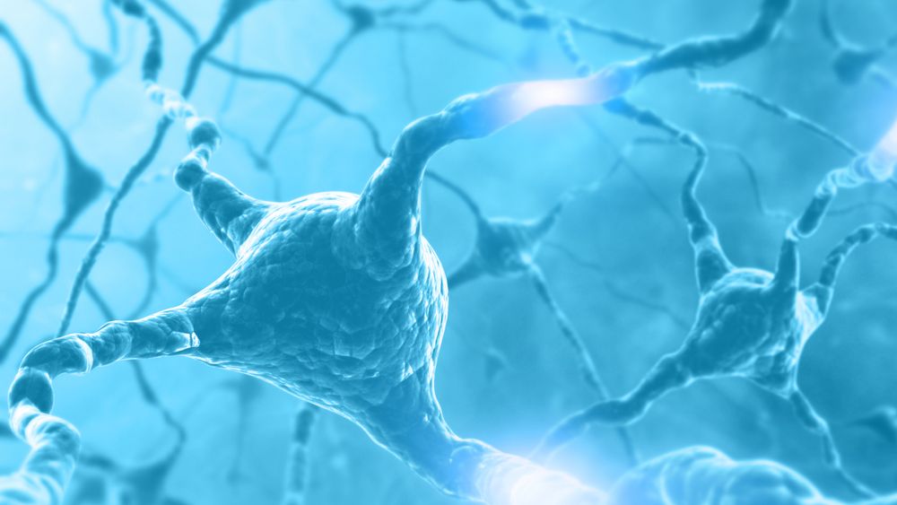 Kanskje er det biologiske datamaskiner som vil danne grunnlaget for den neste KI-fasen. Dette er et illustrasjonsbilde av en hjernecelle.