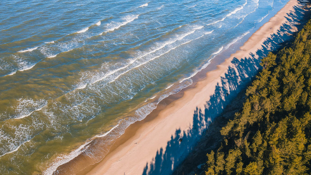 Latvia tilbyr en ideell kombinasjon for norske bedrifter og investorer: sterk grønn energi, utmerket digital og elektrisk infrastruktur, og lavere driftskostnader.