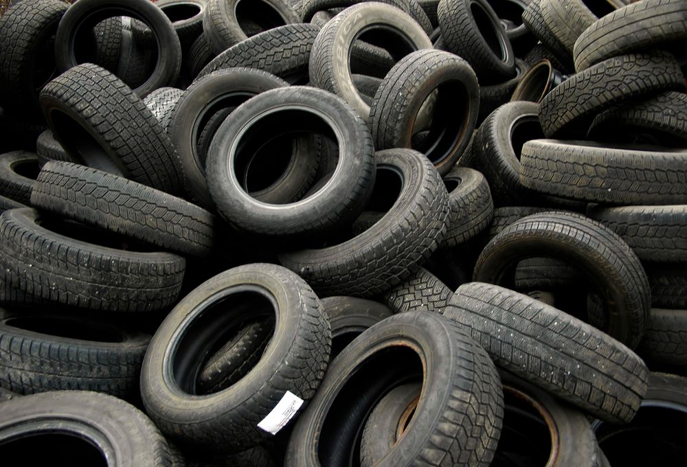 Ny rapport viser funn av bildekk-rester i blåskjell.