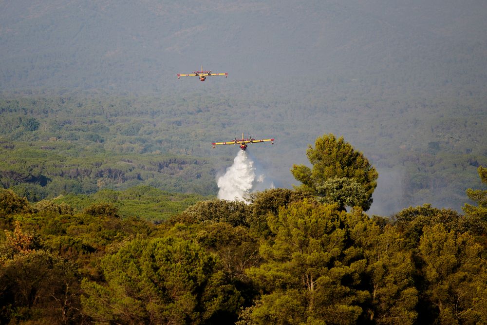 Skogbrann er bant årsakene til at europeiske skoger ikke tar opp like mye CO₂ som antatt. Frankrike vil derfor legge en nødbrems inn i klimamålet for 2040.