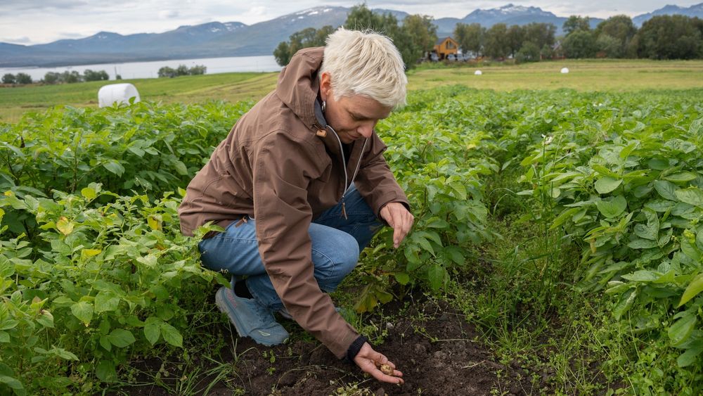 – Vi vet for lite om hvordan ulike hendelser og kriser vil påvirke oss i nord. Dette trenger vi mer kunnskap om, sier Magritt Brustad ved UiT Norges arktiske universitet.