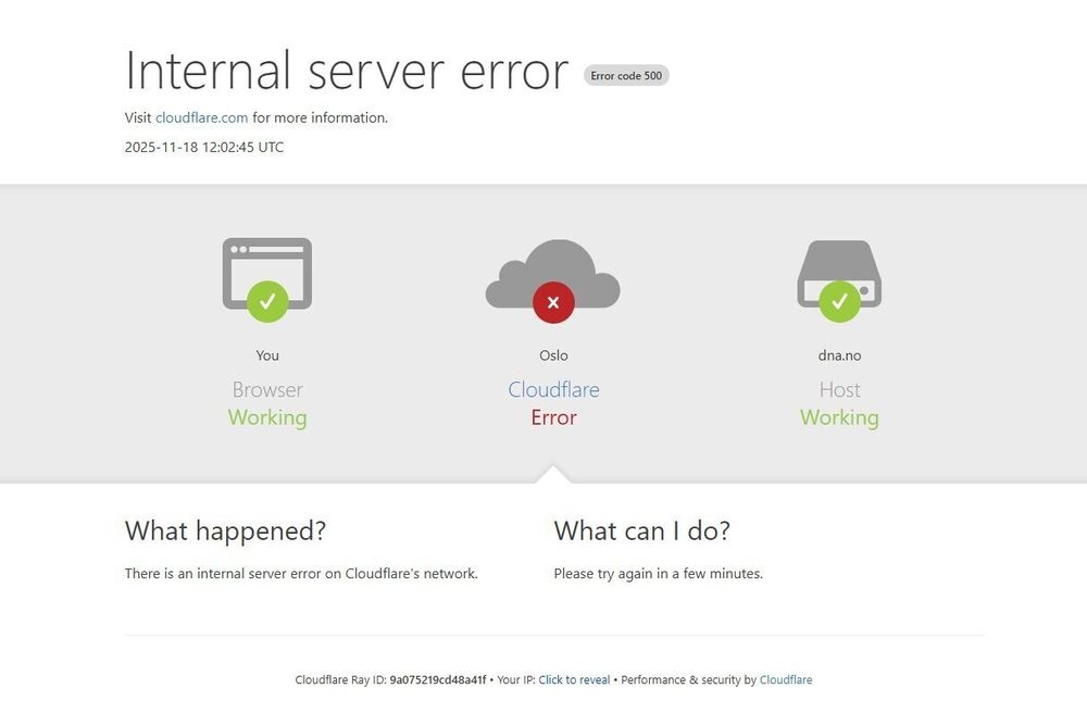 Slik så en rekke nettsider ut under problemene, som kom og gikk tirsdag ettermiddag.