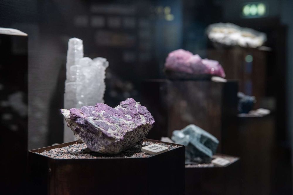 Korund frå Froland i Agder, utstilt på UiAs naturmuseum og botaniske hage, med den rette raude farga til å kallast rubin. Steinen har ikkje heilt edelsteinskvalitet, men er likevel kjend som «Frolandsrubinen».