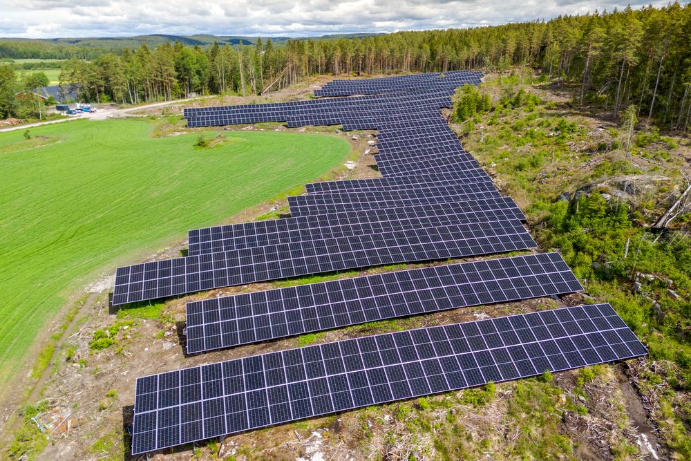 Buer Solcellepark i Sarpsborg.