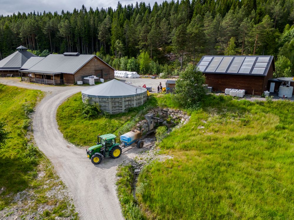 Da Bayer utviklet en liten modell for å svare på spørsmål fra bønder, viste den seg å være 40 prosent mer nøyaktig enn en stor språkmodell. Bildet er fra Norsøks gård på Tingvoll.