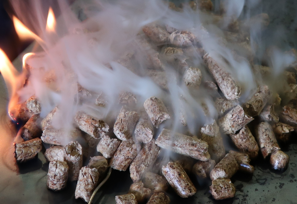 Biomasse er levende materiale. I større mengder vil det uunngåelig dekomponere og avgi varme. Ligger massen stille lenge nok, øker risikoen for selvantenning, skirver innleggsforfatteren.