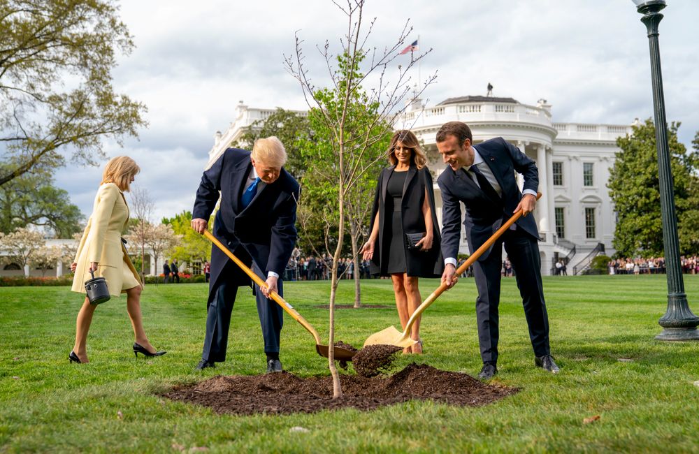 USAs president Donald Trump og Frankrikes president Emmanuel Macron planter et tre sammen foran Det hvite hus. I bakgrunnen Brigitte Macron (t.v.) og Melania Trump.