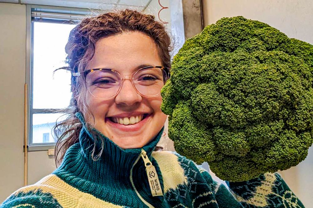 Forsker Carolina Palma ved Nibio undersøker hvordan varmere matjord kan gi lengre vekstsesong og muligheter for to brokkoliavlinger i året.