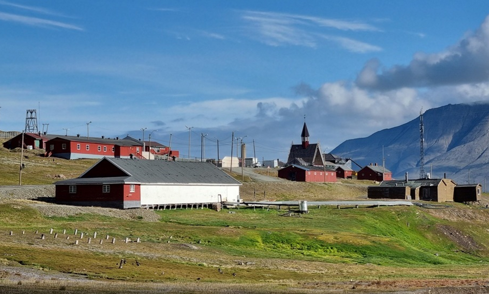 Skråningen nedenfor de gamle fjøs- og gårdsbygningene i Longyearbyen er næringsrik etter år med utkast av møkk og matrester. Her kan nye fremmede arter finne seg et voksested. 