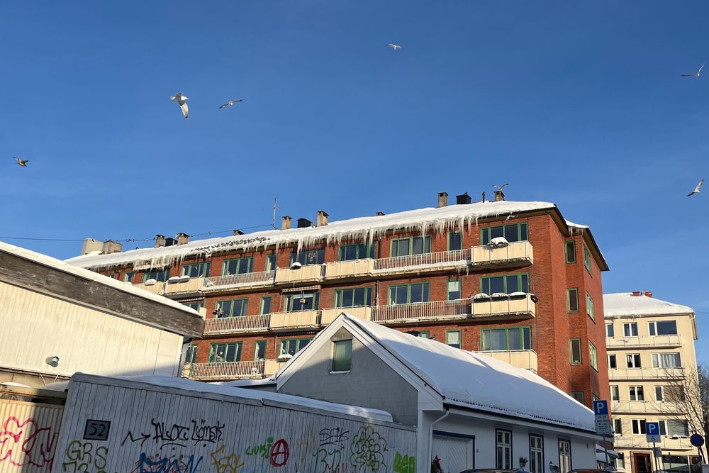 Ifølge nettselskapet BKK har kunder med Norgespris økt strømforbruket sitt betydelig mer i januar enn kunder uten. Bildet er fra Oslo.