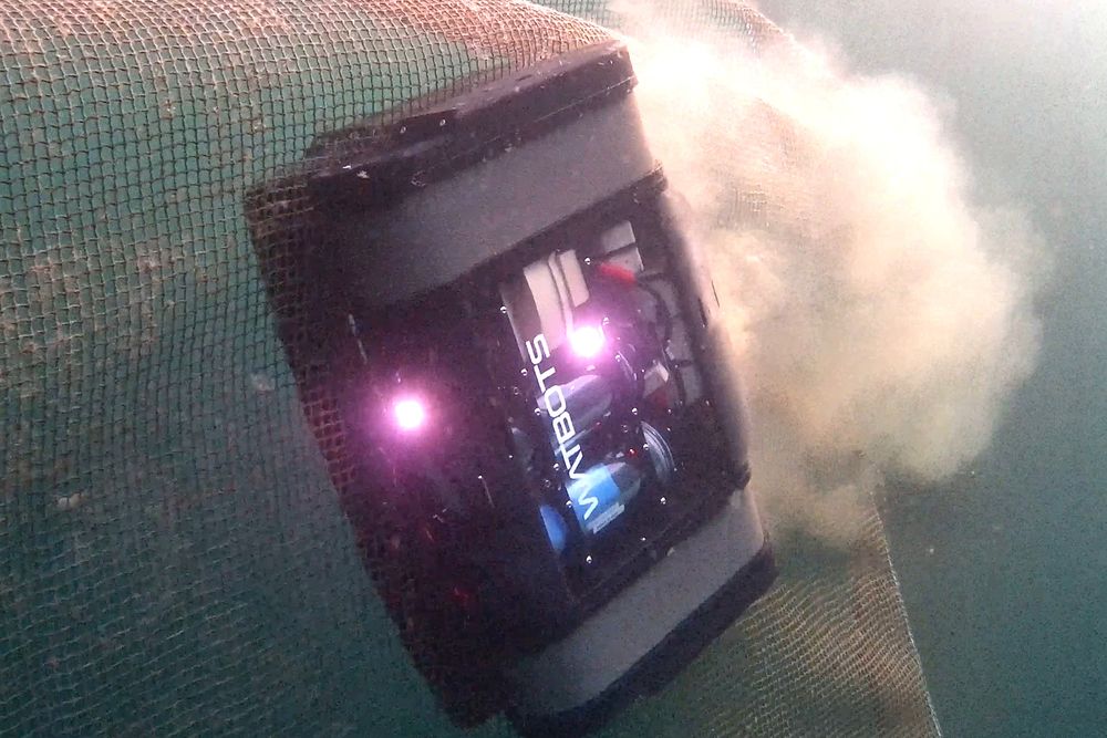 Den elektriske roboten er rimelig lett på tå der den bukter seg frem og tilbake langs merdnota.