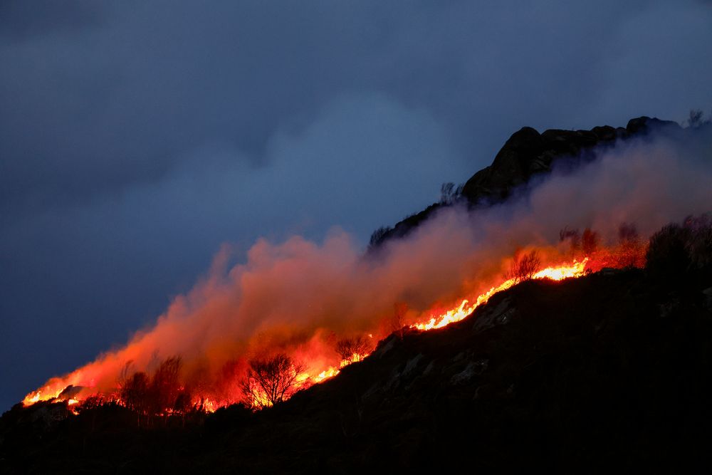 Brannvesenet har rykket ut med store styrker til en lyngbrann i ytre bydel av Ålesund. De har kalt ut alt mannskap de har fra sentrum og Spjelkavik.
