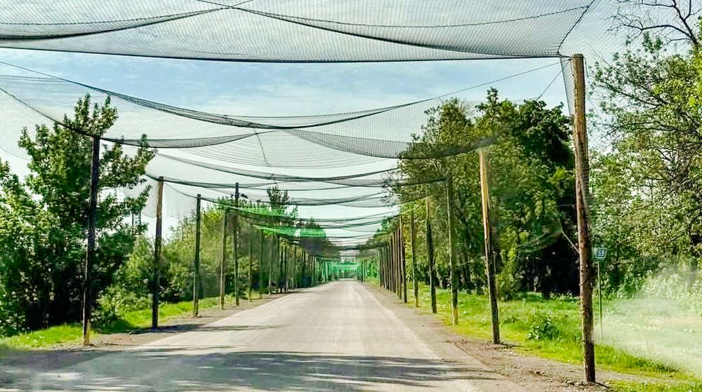 Tunneler av fiskegarn skal i løpet av året dekke tusenvis av kilometer på det ukrainske veinettet. 