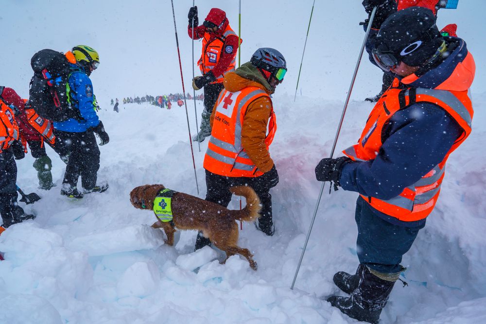 En lavinehund markerer og letemannskap søker med søkestrenger under en skredøvelse på Finse. Nå har Telia rullet ut teknologi som kan gjøre det mye lettere å finne ut om noen er tatt av snøskred.