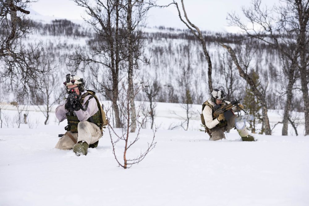 Soldater fra Telemark Bataljon under Cold Response 2026.