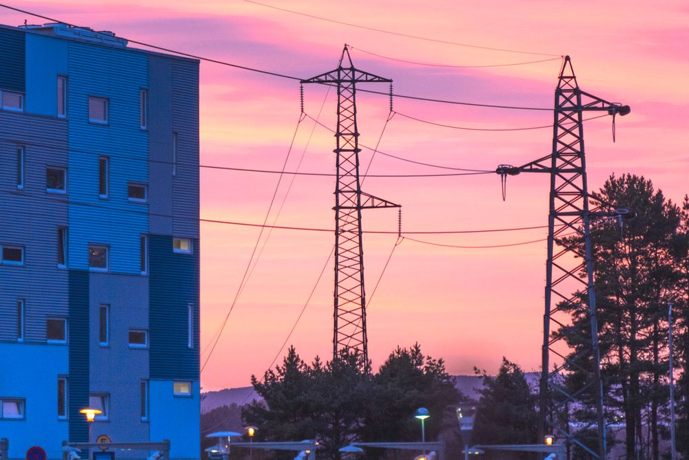 For en typisk husholdning lønnet det seg med norgespris i hele landet i første kvartal.