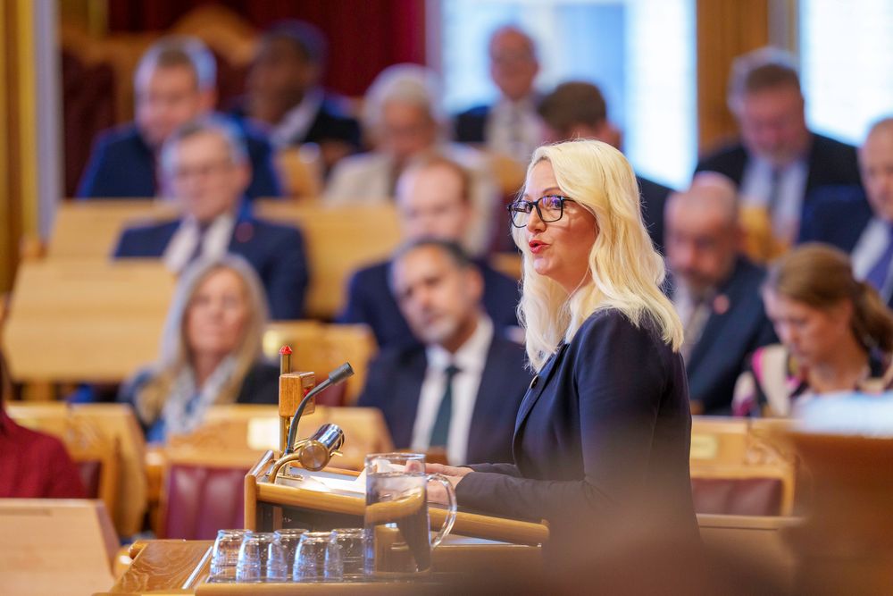 Mirell Høyer-Berntsen (SV) mener sier situasjonen i sosiale medier er uutholdelig. 