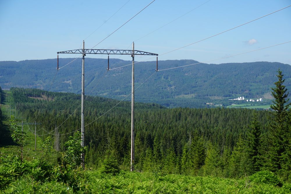 Kraftanalytikere har advart om at strømprisene kan bli skyhøye.