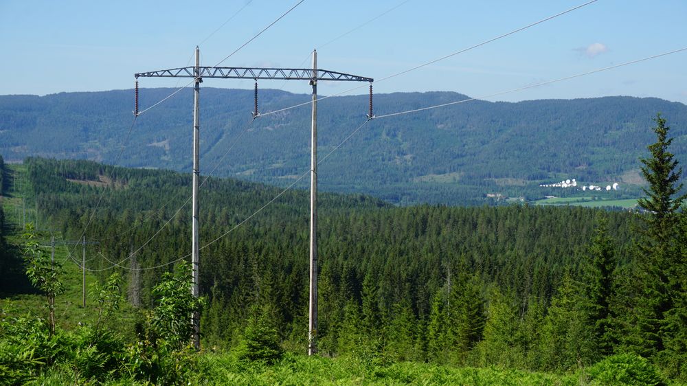 De som har tjent mest på norgespris, er kraftselskapene.