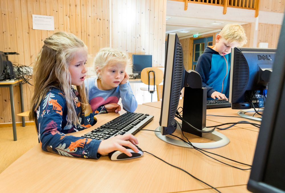 Dagens skriveprogrammer gir ikke norske elever skriveopplæringen de har krav på, ifølge Språkrådet. 