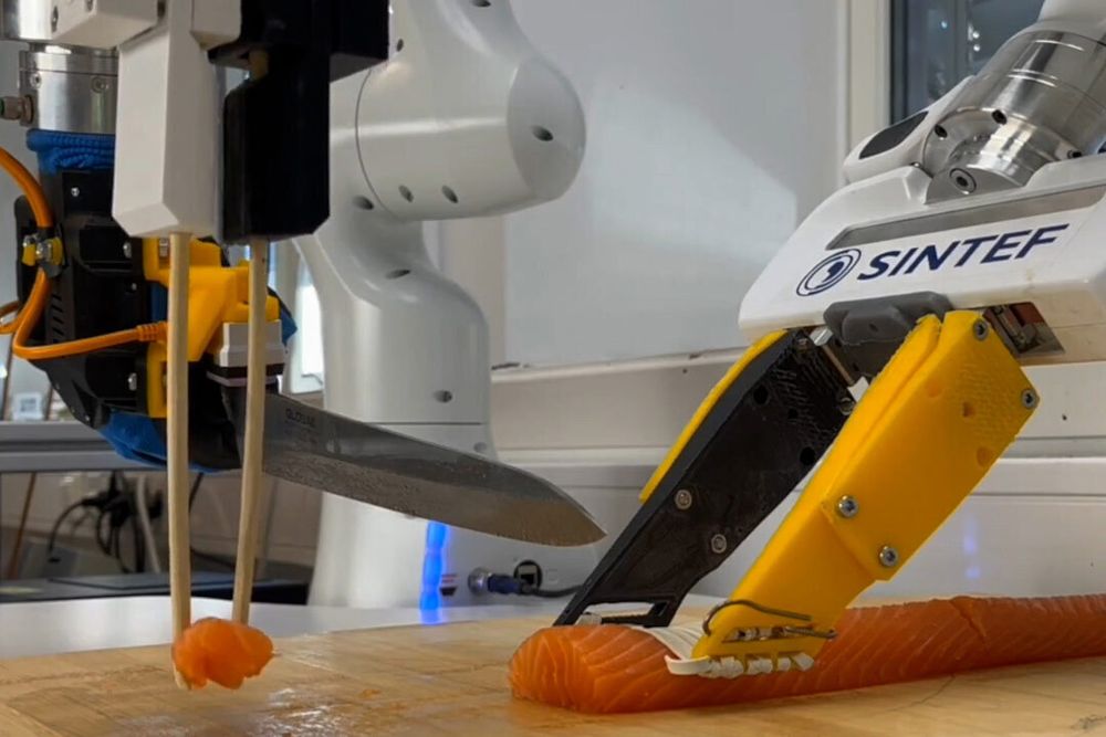 Hvem har vel ikke ønsket seg en robot som skjærer opp klissete lakseloin? – Vi valgte sjømat nettopp fordi det er utfordrende for roboter, sier NTNU-forsker Ekrem Misimi. 