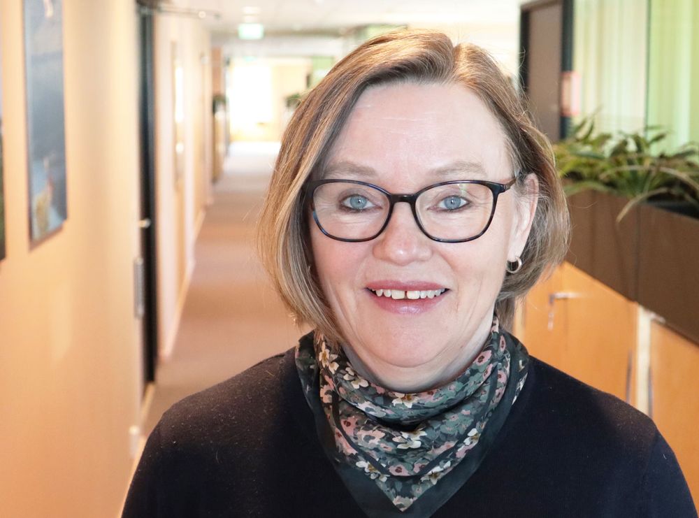 Lange og krevende prosesser er en viktig årsak til at nettutbygging tar så lang tid i Norge, sier Eirin Kjølstad, som er administrerende direktør i nettselskapet Arva.