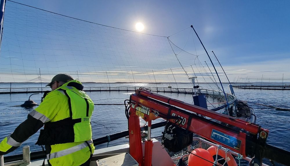 Her sjekker forsker Eivind Lona hvordan laksen reagerer på støy fra servicefartøyet «Torra». Bildet er tatt på Rataren, som er en del av Sintefs feltstasjon for havbruk. Her er sikkerhet førsteprioritet.