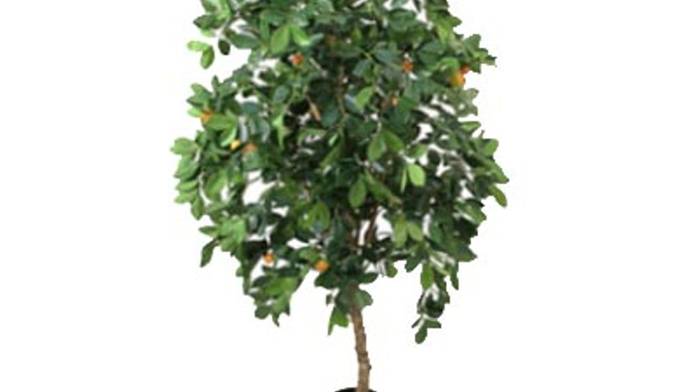 <p>Dette treet kan følges på Twitter. Det kan også artikkelforfatteren - på <a href="kplink://666">http://twitter.com/kervarec</a>.</p>