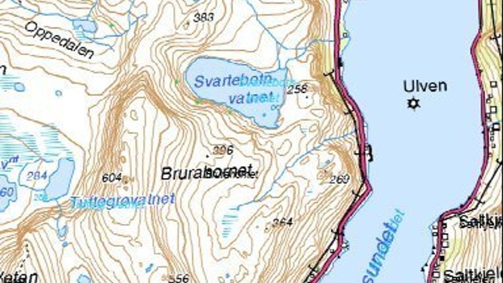 Vegstrekningen som skal utbedres ligger mellom de svarte sirklene. Fjellet Skåra er den 269 meter høye toppen som ligger rett øst for Brurahornet. (Ill.: Statens vegvesen)