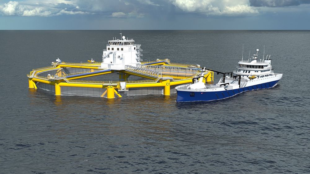 Kongsberg deltar i utviklingen av Ocean Farming sitt offshorebaserte havoppdrettsanlegg.