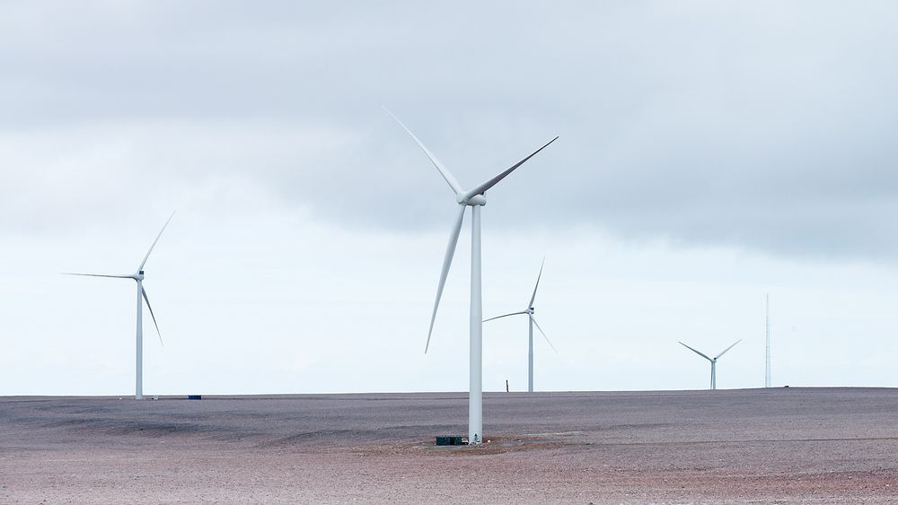 Raggovidda vindpark har til nå hatt en kapasitetsfaktor på hele 58,8 prosent. Turbinene har altså produsert 58,8 prosent av det de ville gjort hvis de hadde gått på full effekt hele tiden. Det er langt mer enn det som har vært vanlig ved andre vindkraftverk i Norge.