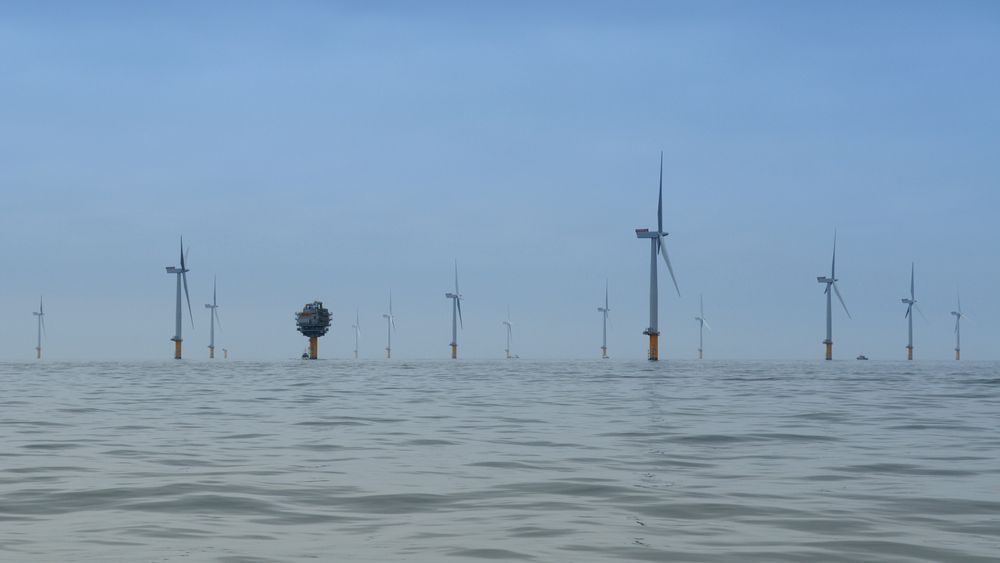Velger stort: Statoil  velger Siemens direktedrevne 6 MW-turbin til havvindparken Dudgeon. Det er langt større enn 3,6 MW-turbinen som er brukt her i Sheringham Shoal. Foto: Alan O'Neill. 
