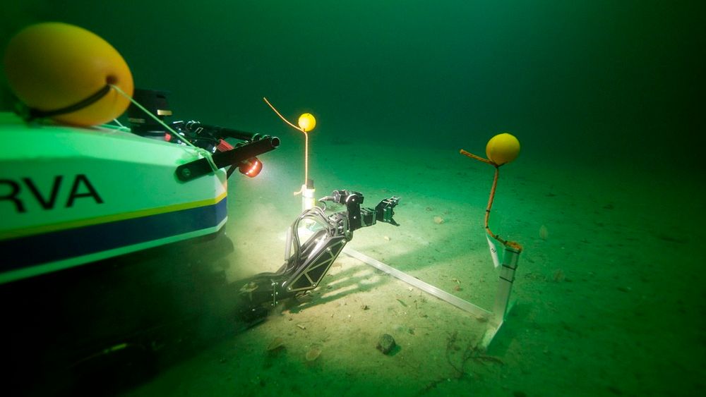 Her fra åpningsdagen av AUR-Lab hvor undervannsroboten Minerva fikk oppdraget med snorklipping – under vann.  