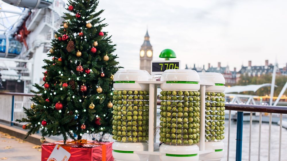 Et juletre med lys drevet av rosenkål-batteriet ble avduket ved Themsens bredde i Londons South Bank-område i går.