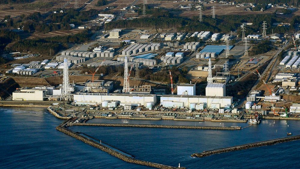 Ifes årlige inntekter fra bilaterale japanske oppdrag var helt nede i 30 millioner kroner i 2012 og 2013, men ligger an til å øke til 45 millioner kroner i år.