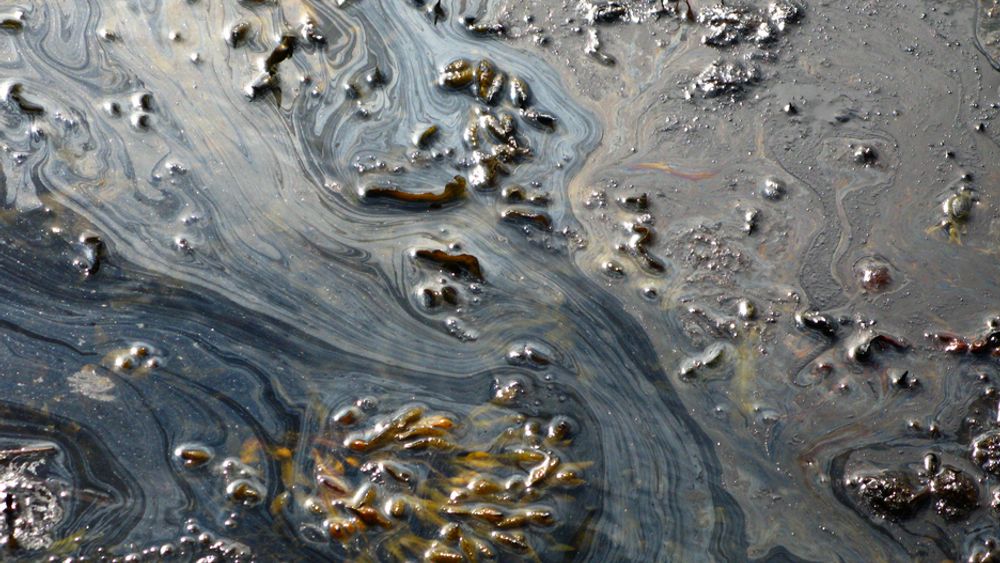 ConocoPhillips har fått boreforbud utenfor Kina etter at olje har lekket i over en måned.