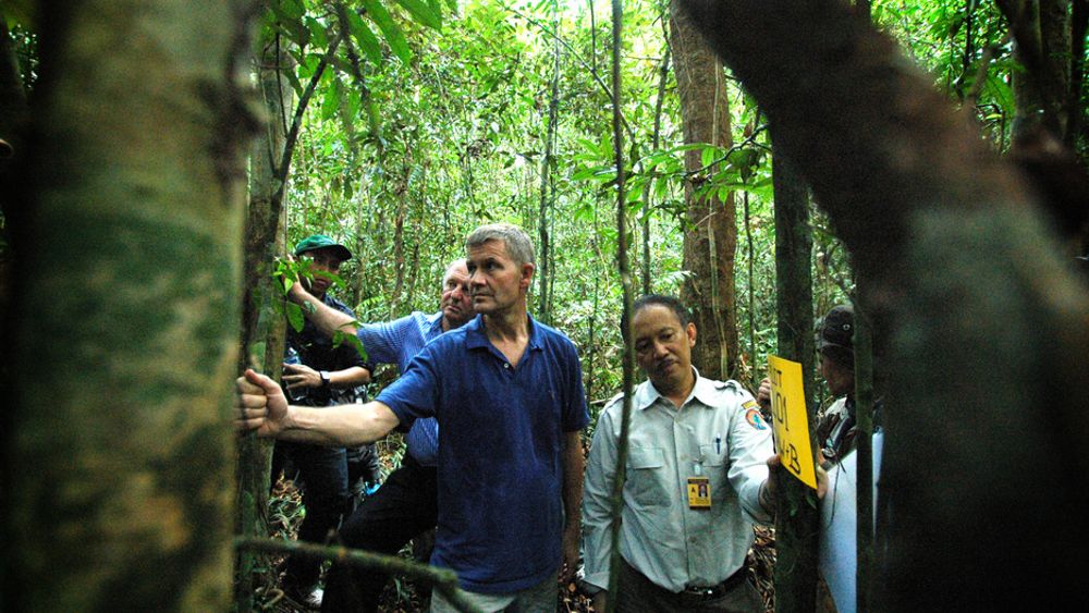 Miljø- og utviklingsminister Erik Solheim besøker Sentral-Kalimantan i Indonesia. Slike skoger kan bli en del av et fremtidig kvotemarked.