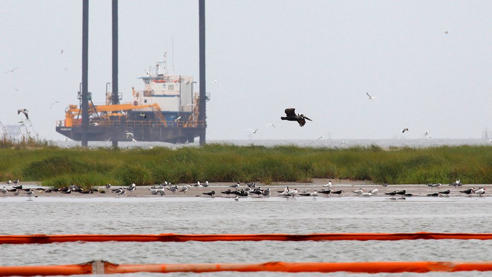 En pelikan på vingene forbi en boreplattform ved Breton Island i den amerikanske delstaten Louisiana, der lenser er lagt ut for å beskytte mot oljeutslippet i Mexico-golfen.