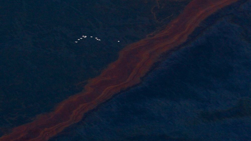 ANKLAGER BP: Nordmenn som deltok i redningsarbeidet etter oljekatastrofen i Mexicogolfen hevder BP har drevet med direkte løgn hva utslippets omfang angår.