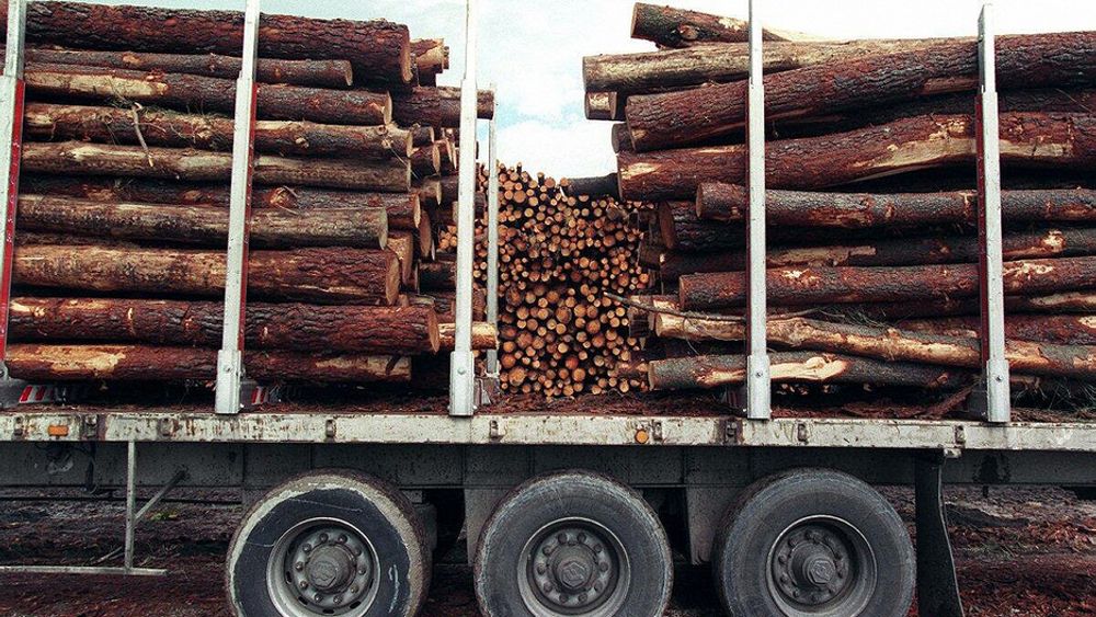 Tømmeret som Moelven divisjon Timber sager til trelast må selges billigere og konsernet har tjent 360 millioner kroner mindre enn i fjor så langt i 2008.