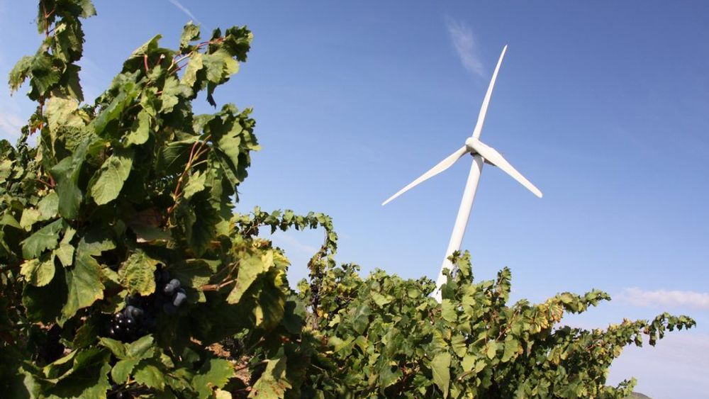 VIND: Svenske Energimyndigheten mener at en stor del av den nye fornybare kraften i Sverige vil komme fra landbasert vindkraft og er opptatt av å forhindre flaskehalser